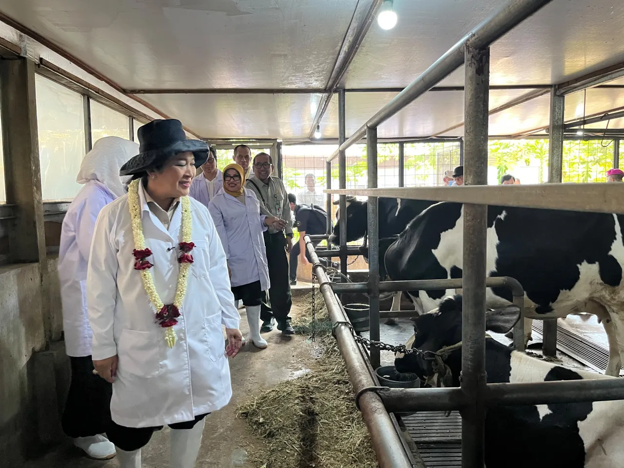 Kementan Dorong Pengembangan Sapi Potensi Genetik Lokal